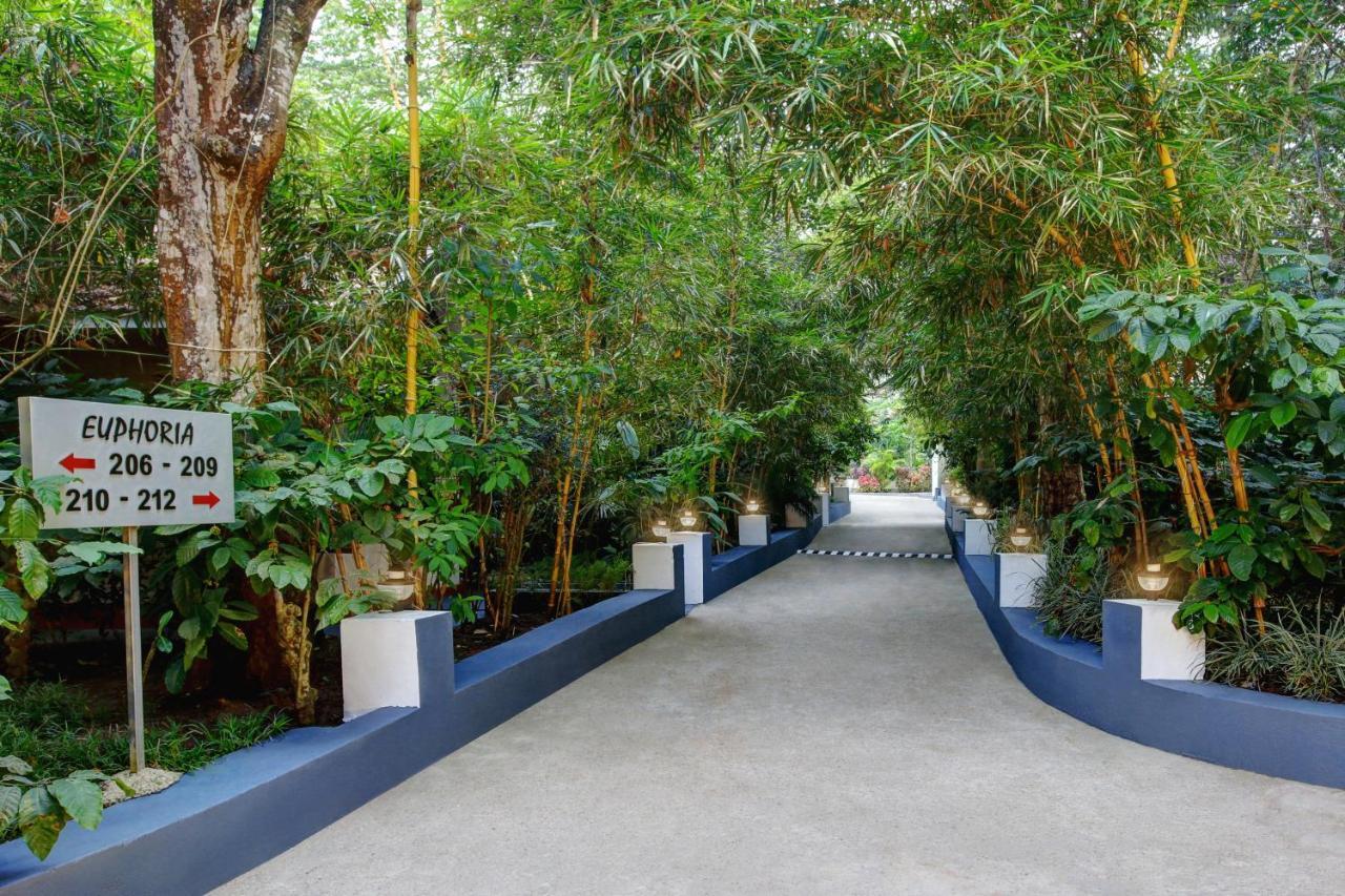 Gokulam Grand Resort & Spa, Coorg Kushālnagar Exteriör bild